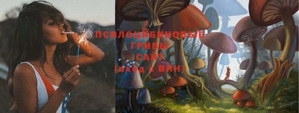 мескалин Богданович