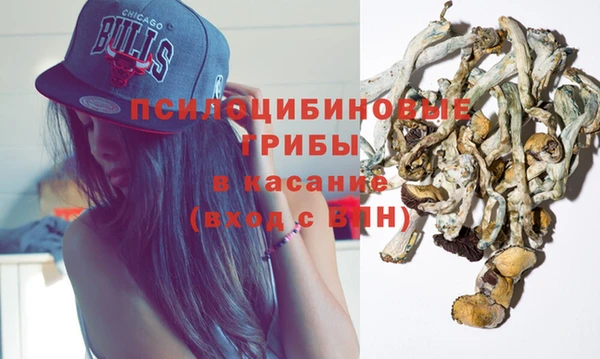крисы Богородск