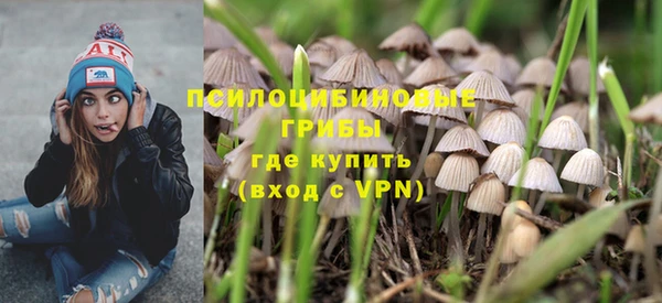 крисы Богородск